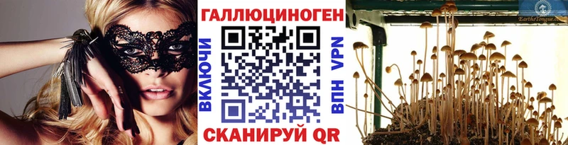 Псилоцибиновые грибы Psilocybine cubensis Белебей